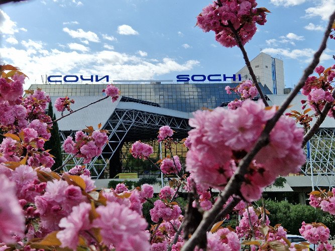 Здание Международного аэропорта Сочи имени В.И. Севастьянова