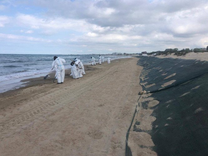 Очистка от выбросов мазута на пляже в Анапе