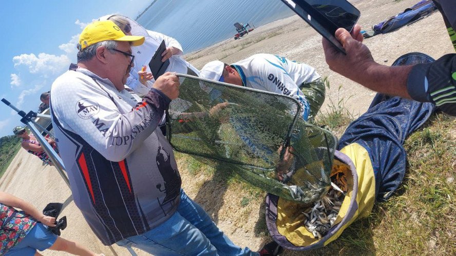 Улов участников соревнований в рамках Кубка Краснодарского края по ловле поплавочной удочкой