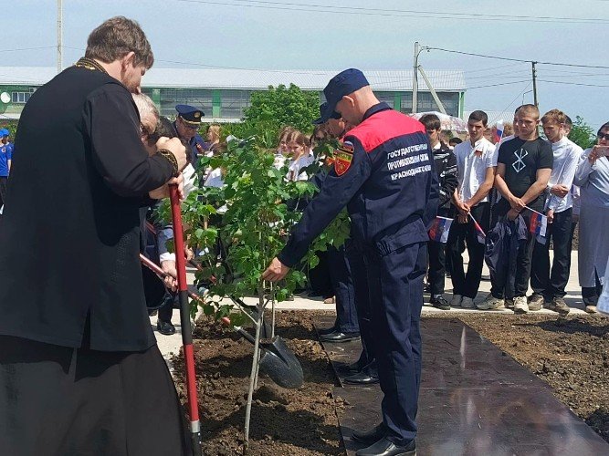 высадка молодых деревьев на территории ПЧ-42 в селе Суворовском Усть-Лабинского района