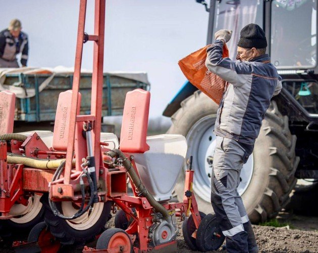 работник "Прогресс Агро" засыпает зерно в сеялку