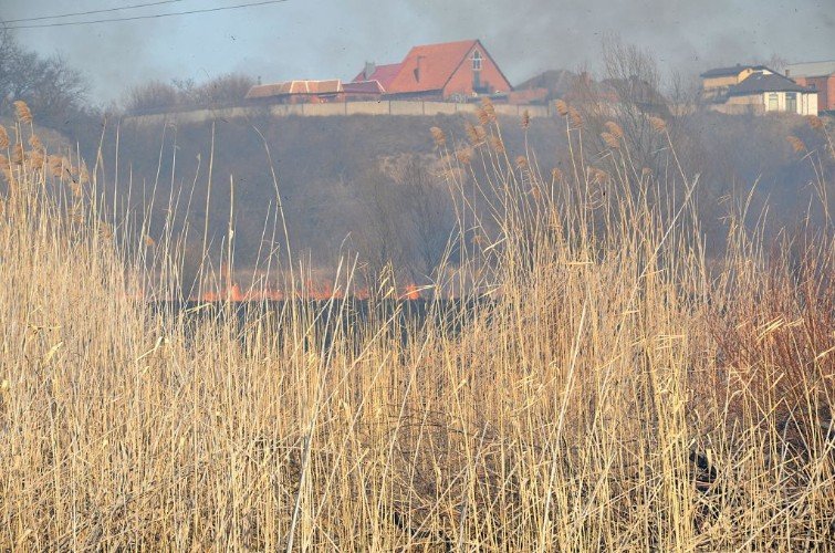 горит сухостой под Усть-Лабинском