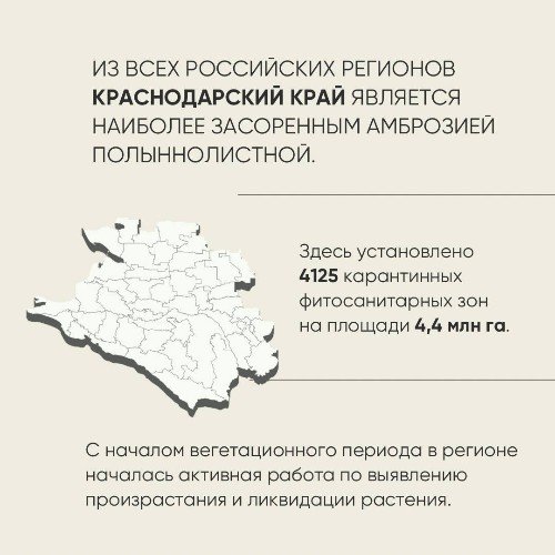 Карта районов, засоренных амброзией