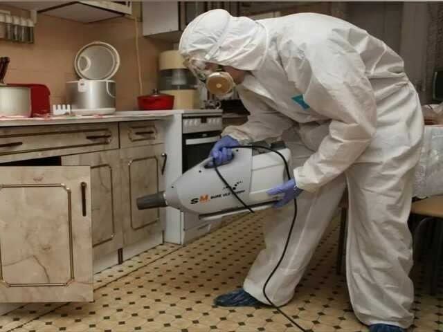 Дезинфектор обрабатывает кухонный шкаф