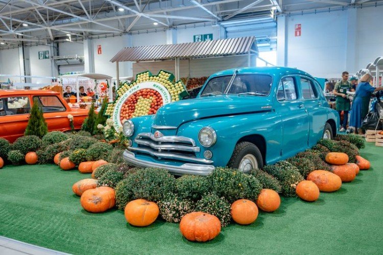 Тыква вокруг автомобиля