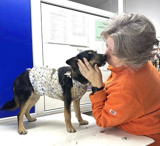 Галина Перекрёстова с собакой в ветеринарной клинике