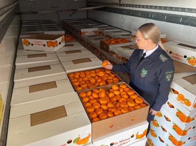 Ящики с мандаринами и женщина в форме