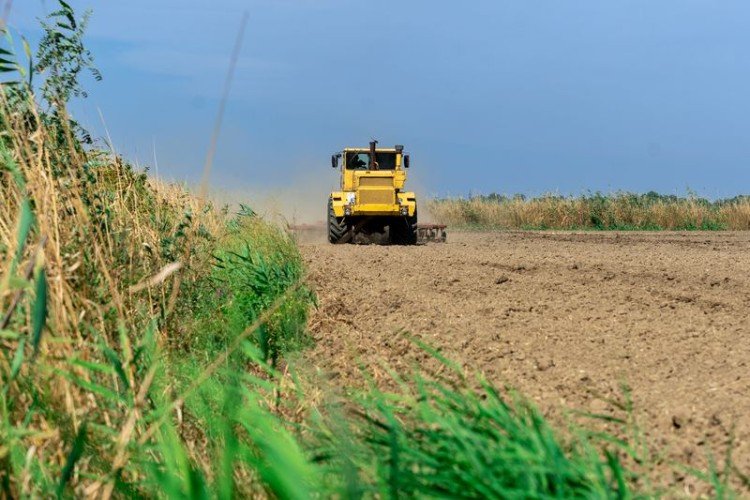Сельхозтехника в поле