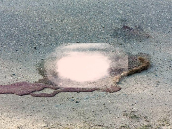 Место смертельного ДТП в Усть-Лабинске