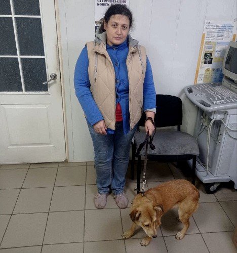 Женщина с собакой на поводке