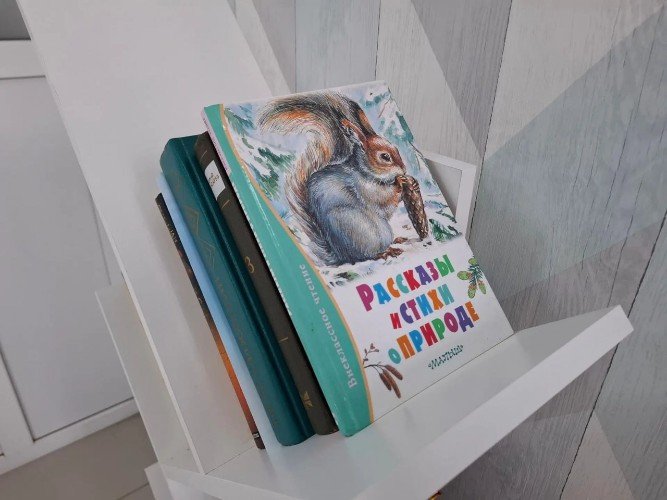 Книги на полке