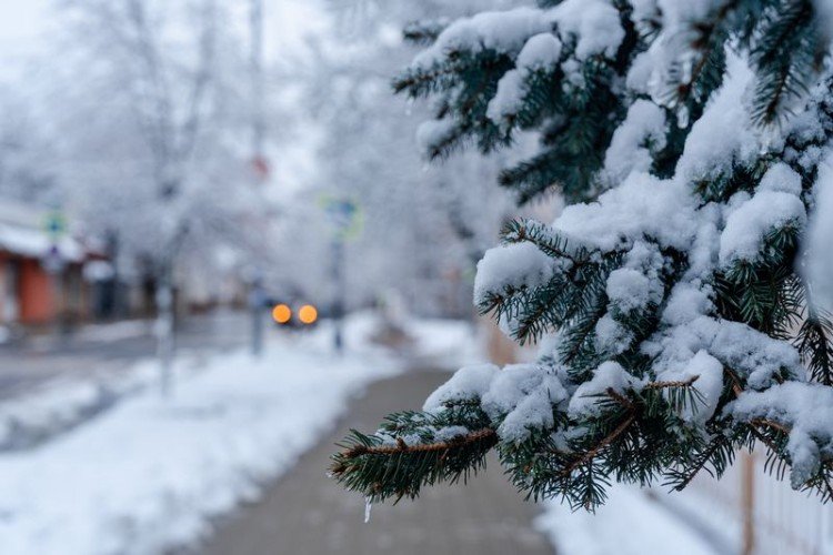 Заснеженный пейзаж