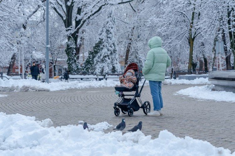 Женщина с коляской