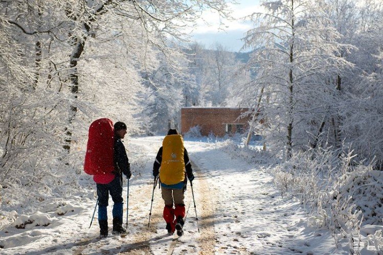 Туристы на зимней прогулке