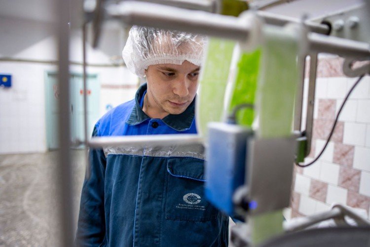 На сахарном заводе