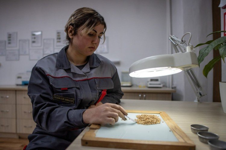 Елена за работой в лаборатории