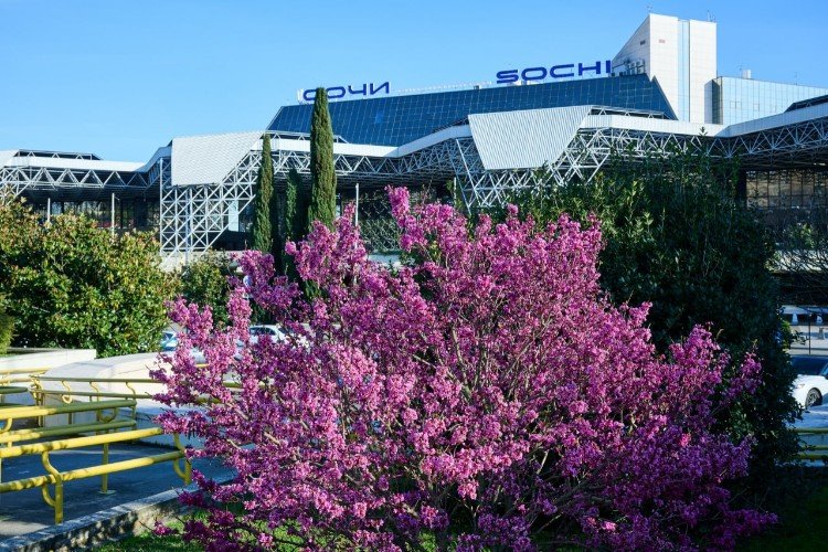 Аэропорт Сочи