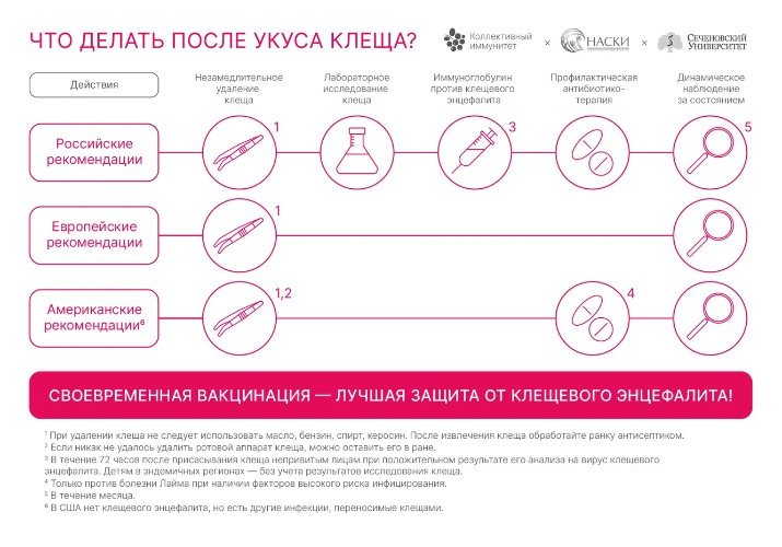 Инструкция по удалению клеща