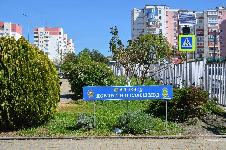 Школьная аллея