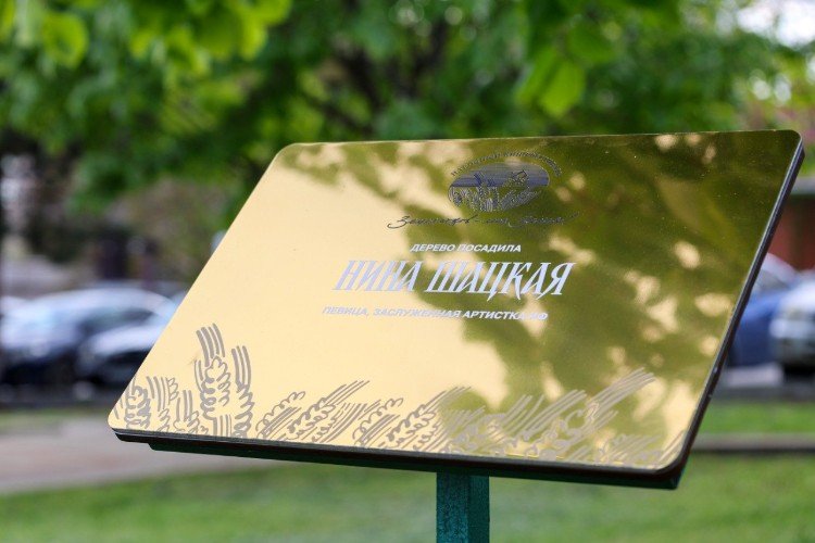 Шацкая, Булдаков, Гаркалин и другие: чем знаменита Липовая аллея в Усть-Лабинске