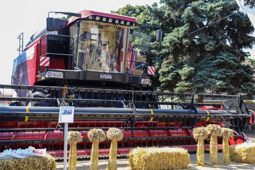 Новые импортозамещающие производства откроют на Кубани