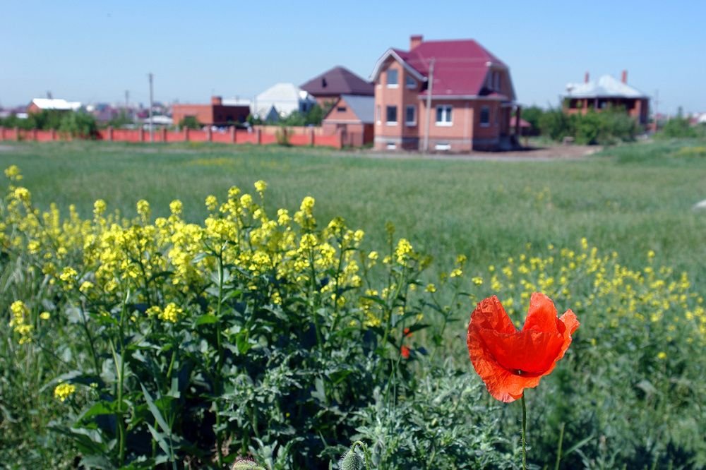 Земля дорожает. И не только на Кубани