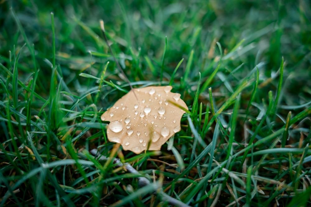 Погода переменится