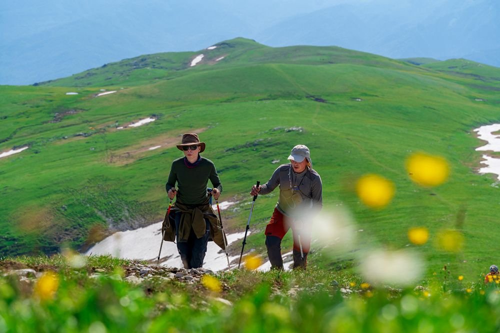 Ученые обнаружили в горах Сочи редчайшие растения из Красной Книги