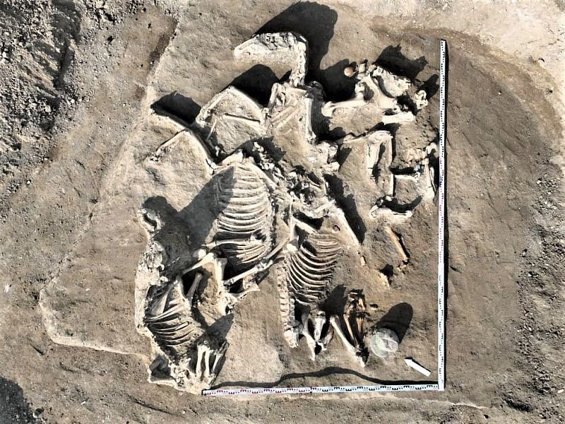 На Кубани нашли античный шлем римского легионера