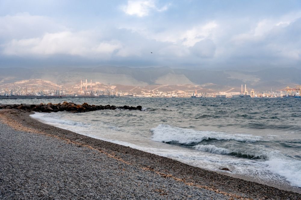 Чёрное море в фокусе детского экофестиваля