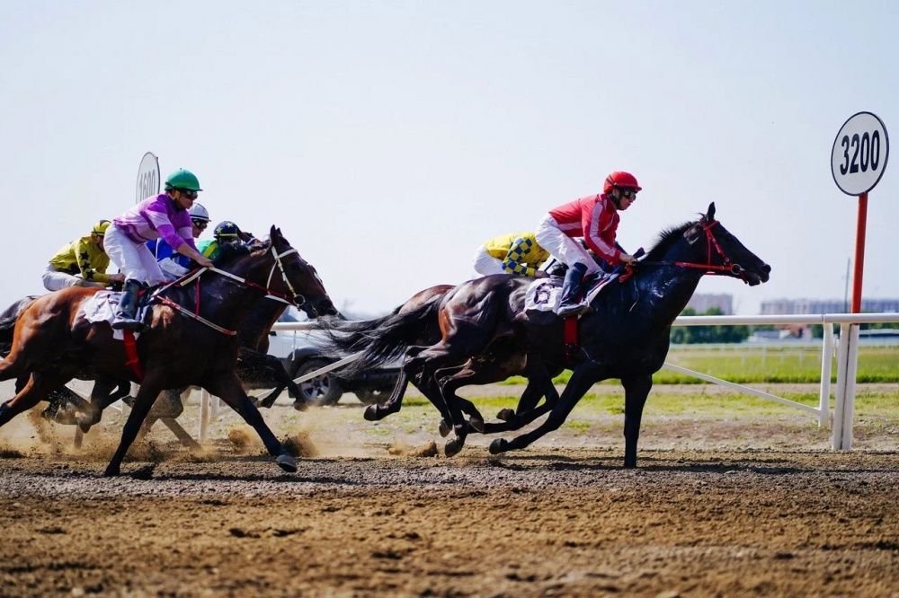 Лошади «Восхода» набирают призовые места в сезоне скачек-2023
