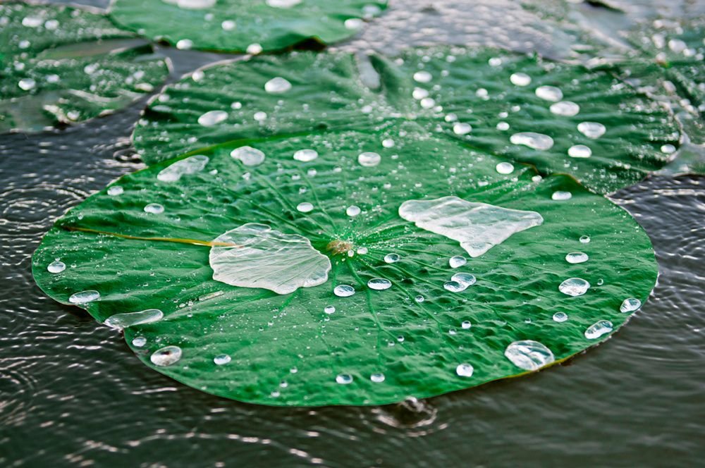 На Кубани снова ожидается ухудшение погоды