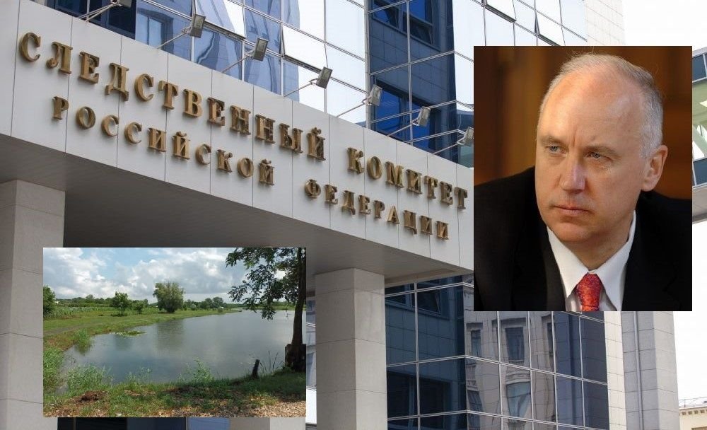 Руководитель Следственного Комитета РФ Бастрыкин поручил проверить ситуацию в Аргатове