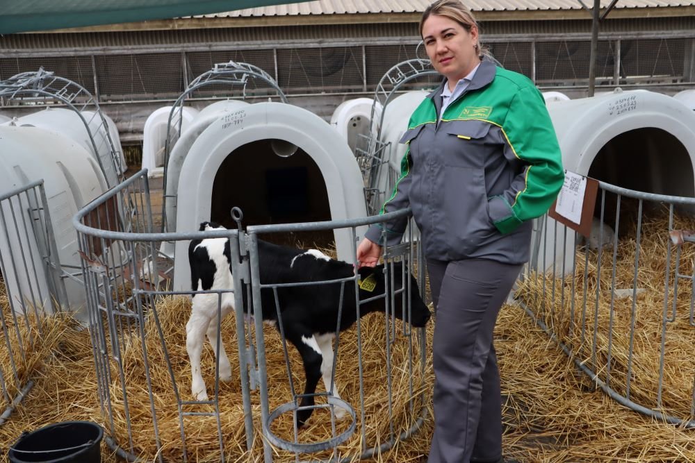 Виктория Диденко. От ветврача до управляющей мегафермой