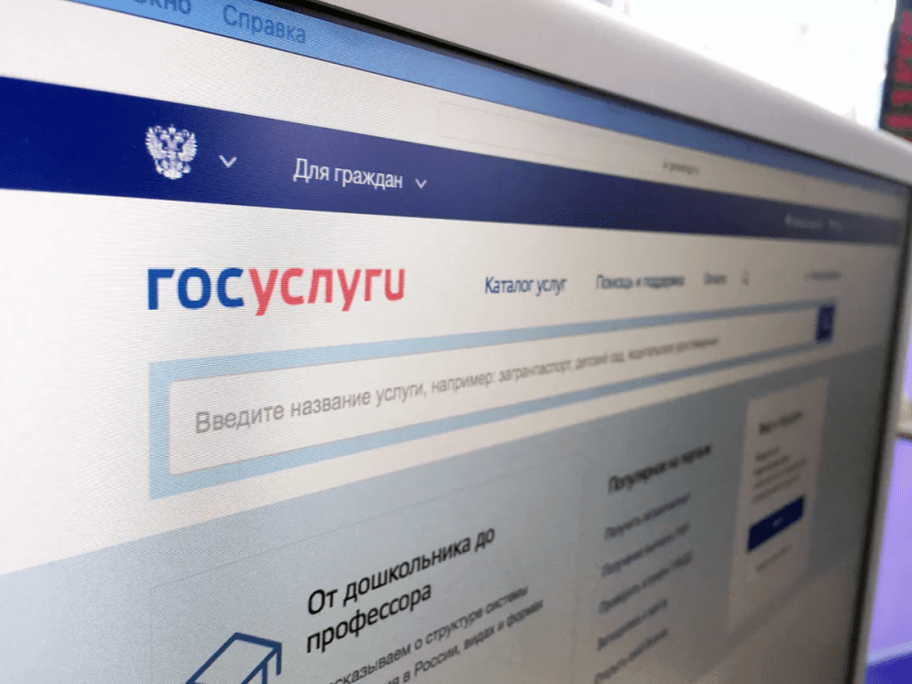 Кубанцы смогут подключиться к электричеству на Госуслугах