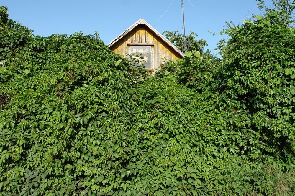 В Краснодарском крае почти 50 тысяч многодетных семей стоят в очереди на получение земельных участков