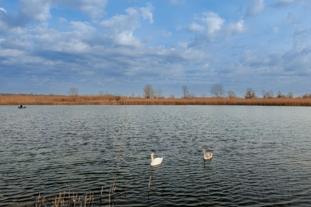 В Усть-Лабинске хотят развивать воднолыжные виды спорта