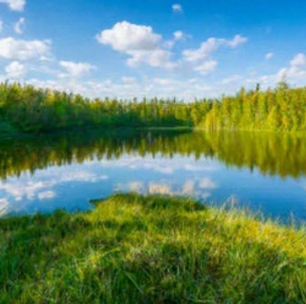 Новая нейросеть от Яндекс сгенерировала изображение озера Копытко в Усть-Лабинске