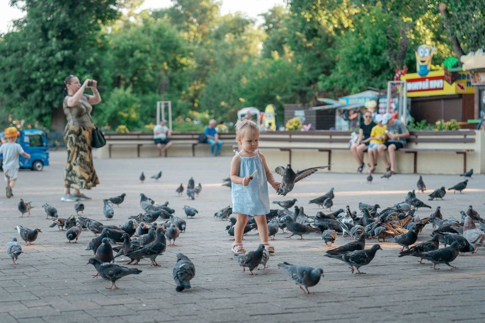 Новая служба появилась на Кубани
