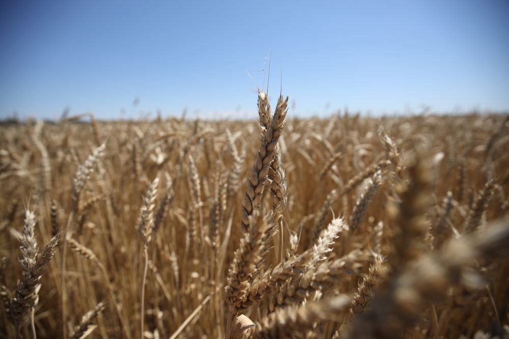 «Прогресс Агро» усиливает охрану полей с озимыми