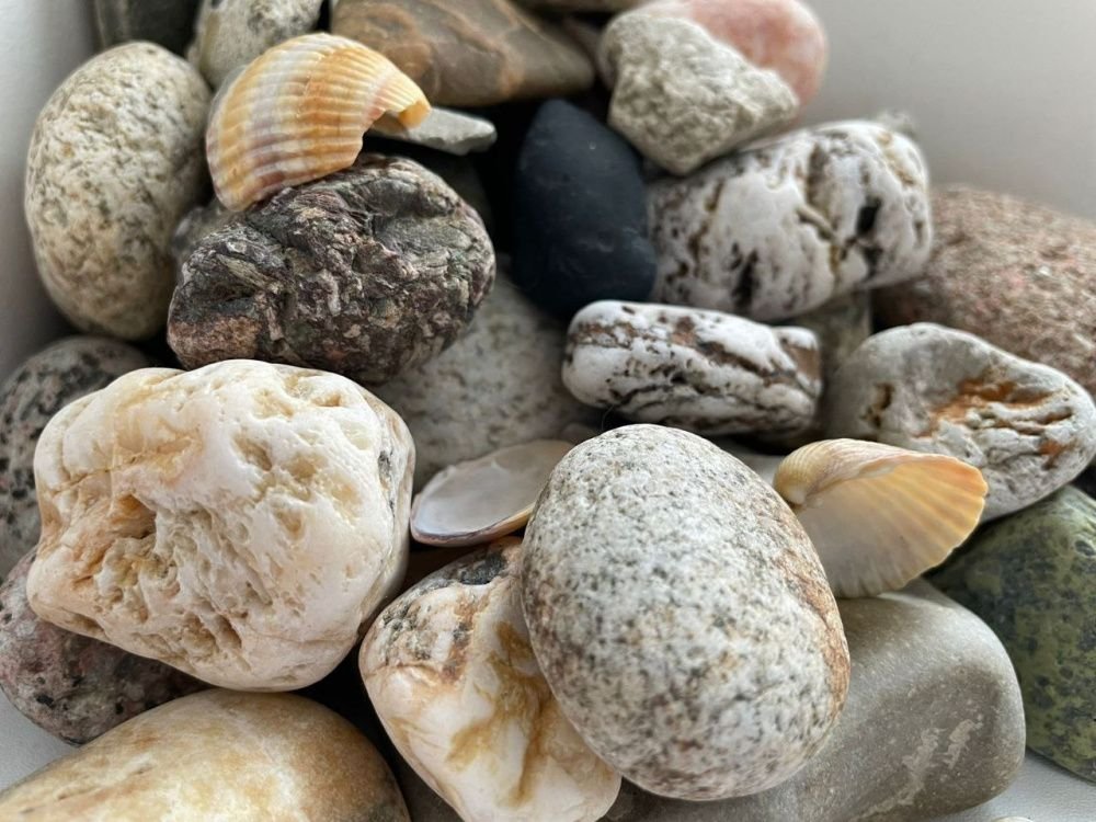 Юные жители Усть-Лабинска могут принять участие в конкурсе «Плутония-2023»