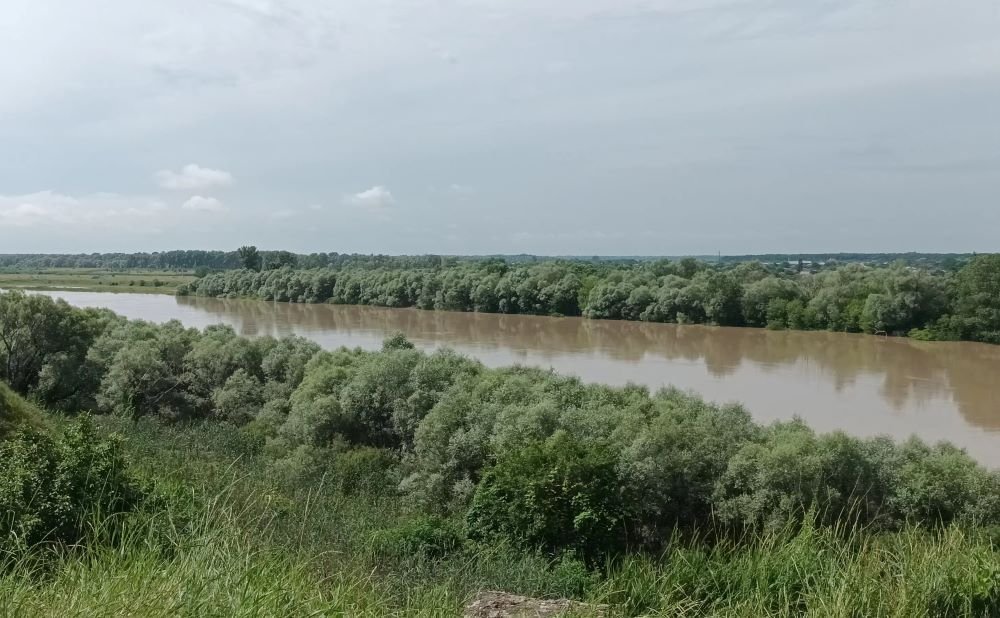 В станице Воронежской нашли тело второго утонувшего мальчика