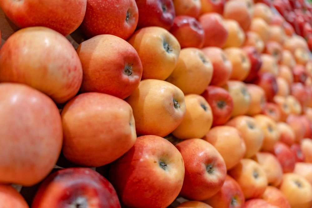 Садоводы Кубани: необходимо запретить импорт!