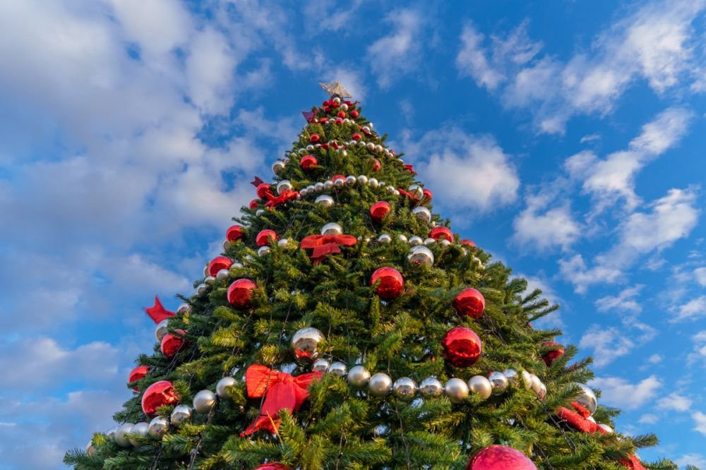 Снега не будет. И точка!