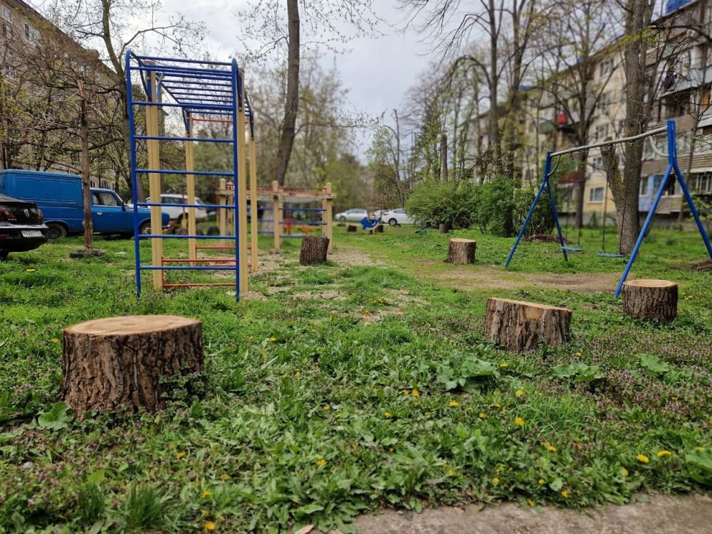 Кубань в лидерах по количеству волонтеров для поддержки Всероссийского голосования