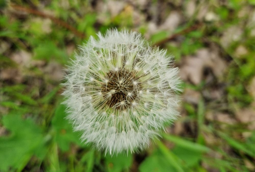 Резкое потепление ожидается в Краснодарском крае