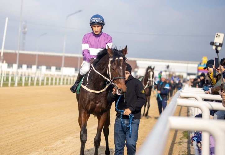 Участники скачек