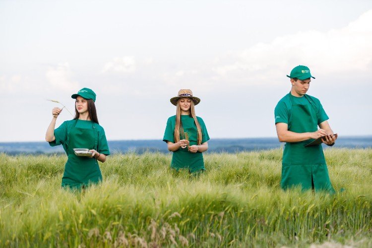 «Что посеешь, то и пожнёшь»