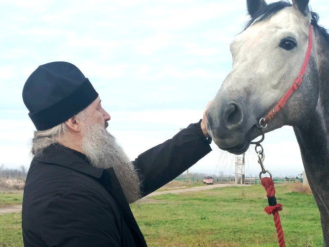 Епископ Савва гладит коня