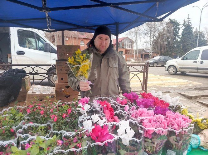 Продавец цветов с мимозой в руке, на прилавке - цикламены